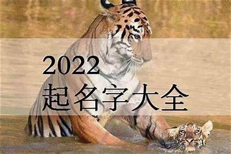 属虎女人1986农历七月十五的命运