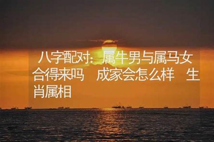 `属牛男与属马女结合婚姻会长久吗