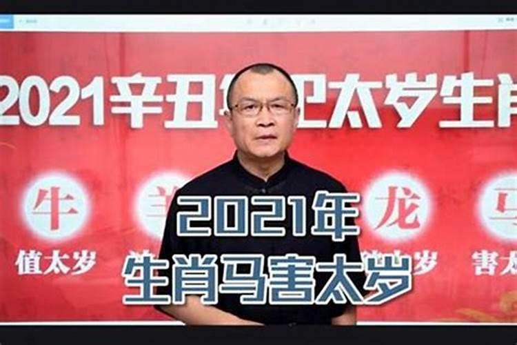 小学生作文(西乡的春节)500字左右