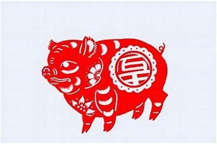 95年属猪人7月份出生好不好,几月出生的生肖猪最好？