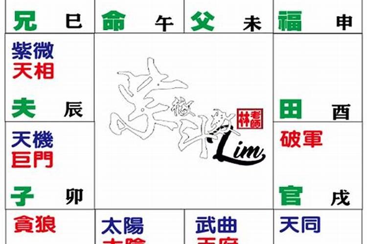 我的命宫是 紫微在午, 命宫干支是 庚午