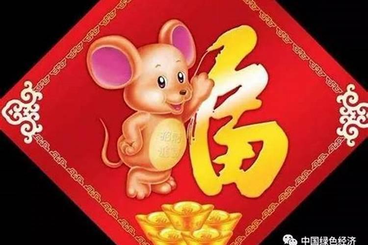 生肖鼠1996年2025年运势如何 生肖鼠1996年2025年全年运势