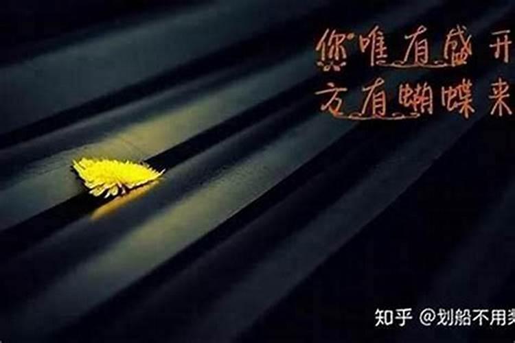 2025年犯太岁最严重的生肖