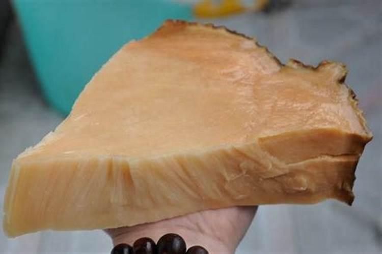 肉灵芝太岁是什么东西