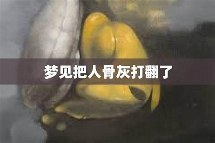 梦见挖了人家的棺材的预兆