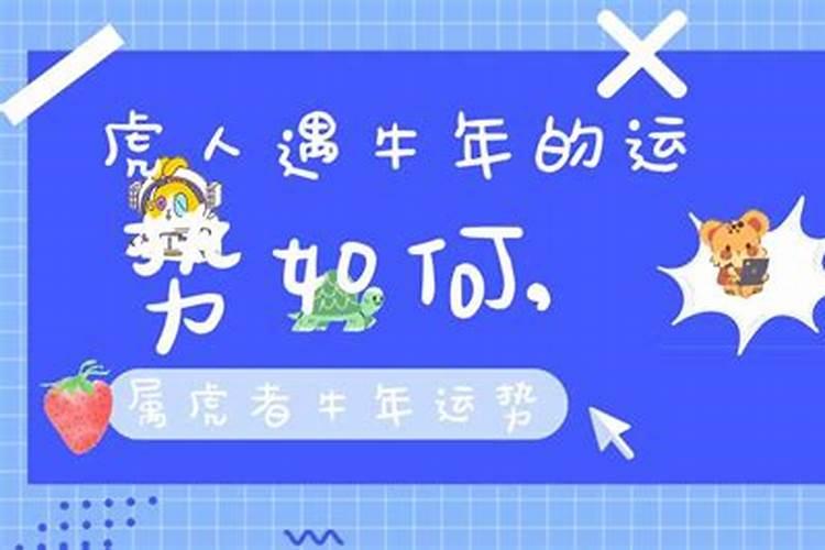 属虎人在牛年运势