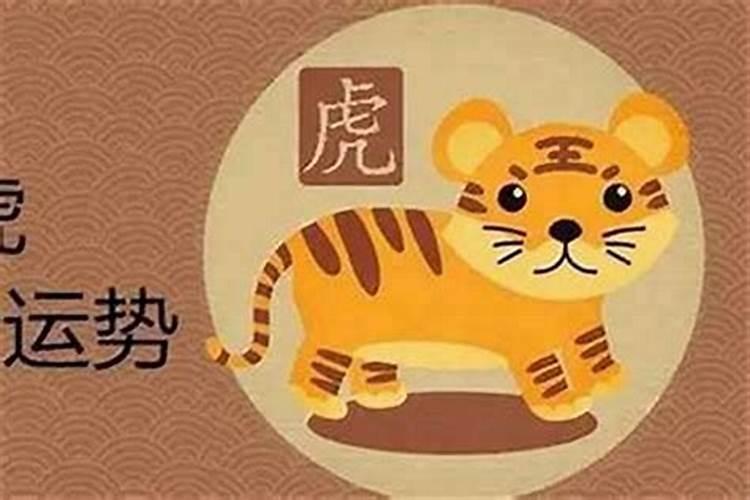 1987年属兔人在2025年的全年运势