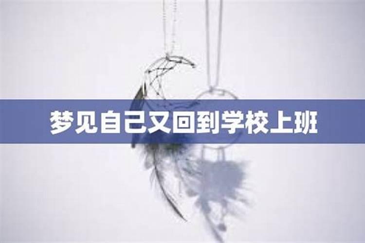 梦见回到学校的预兆
