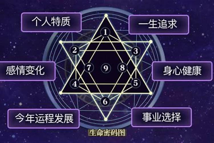 梦见大只老鼠的预兆