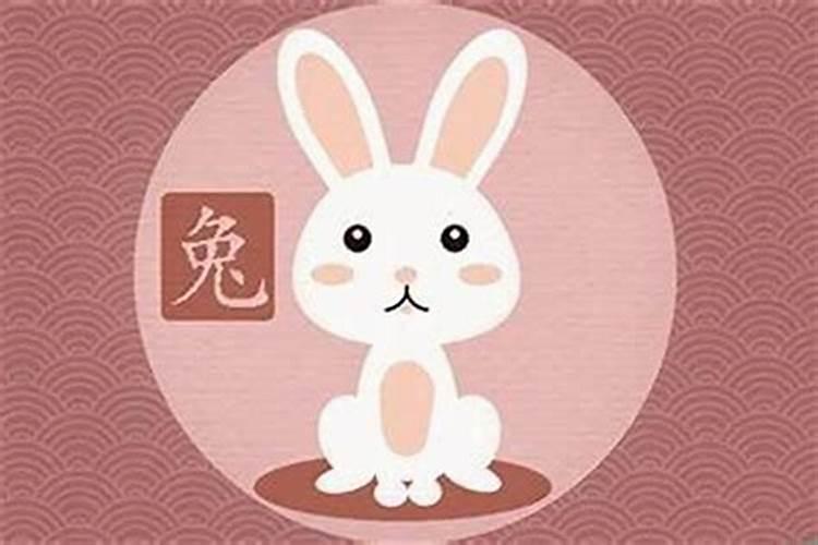 属兔和什么属相最佳婚配 无怨无悔双向奔赴