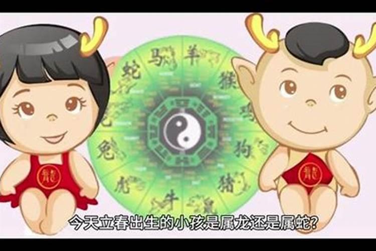 1984属鼠哪年起运84年属鼠一生大劫年