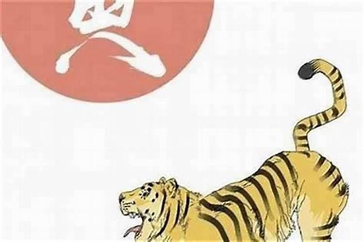 属鸡女孩为何不能和属虎男合婚？