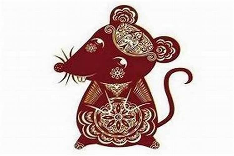 属老鼠的人哪几个月份出生最好 属鼠几月出生最好命运