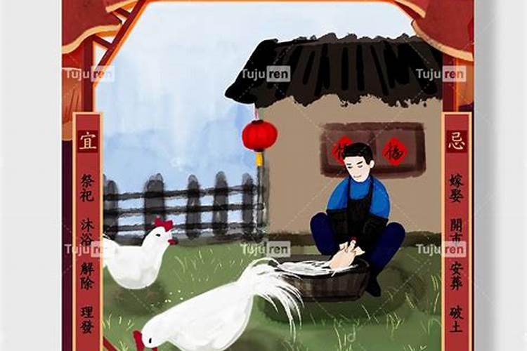 为什么六月的牛很难吃？他们的命运会怎样？