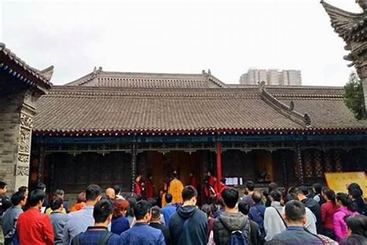 为什么属羊人运气这么差 女的属羊的为什么不好