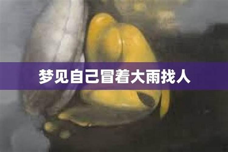 梦见下雨打伞找人的预兆