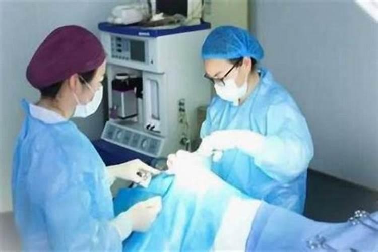 农历12月出生的属猴人命运怎样