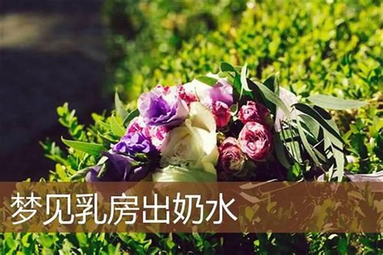 梦见奶水流出来是财富是什么意思