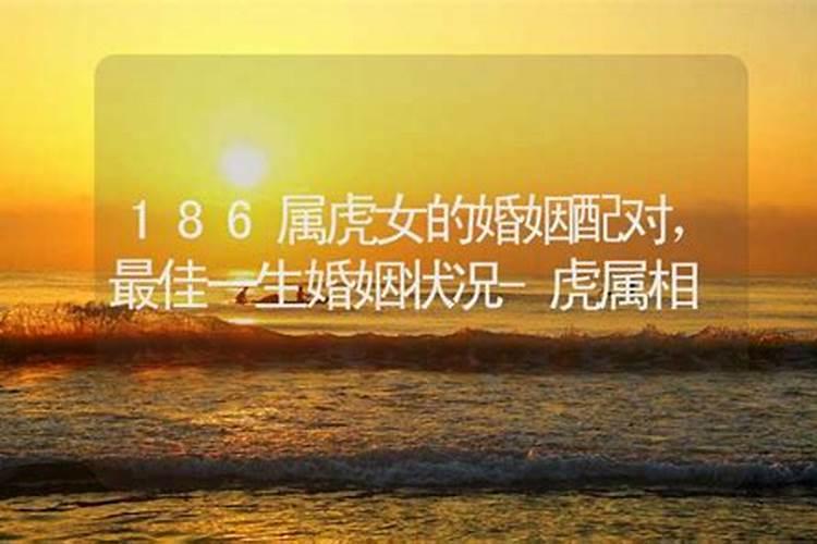 为什么属虎的女人婚姻不顺