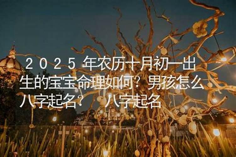 属蛇人逢什么年最旺