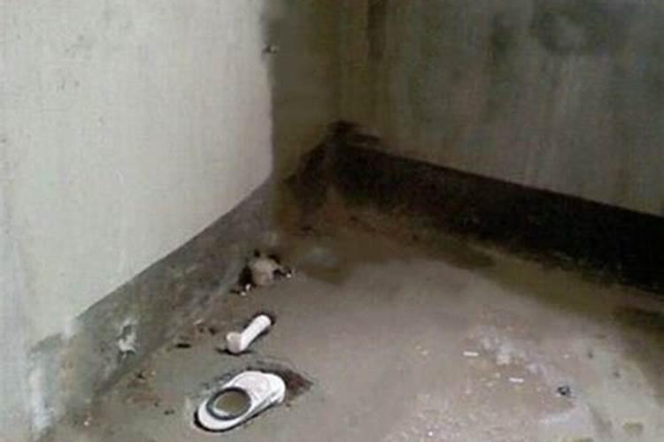梦见马桶移位是什么意思
