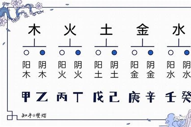 梦见打苍蝇是什么意思