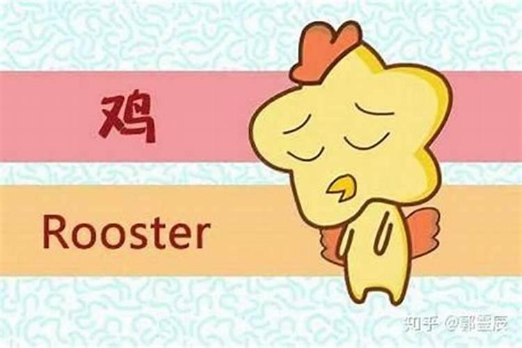 童子拜观音象征什么