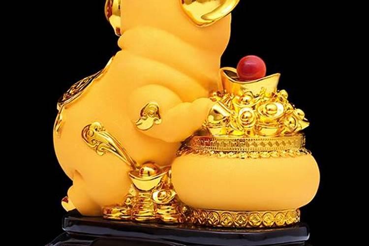 属猪男生本命年送什么