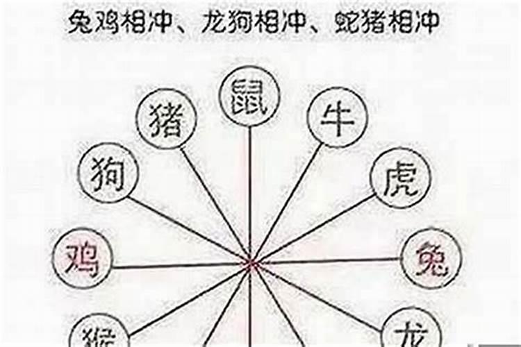 属鼠的婚配与什么属相相冲,属鼠的和什么属相最配和相克？