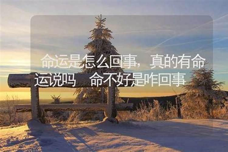 清明明节习俗？