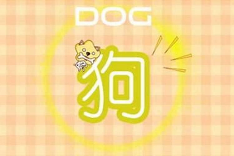 你知道吗？养狗狗也是要看风水的