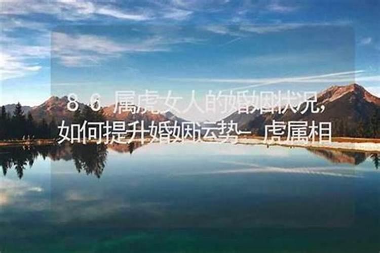 属虎2024年运势及运程 2024年属虎的人运势如何