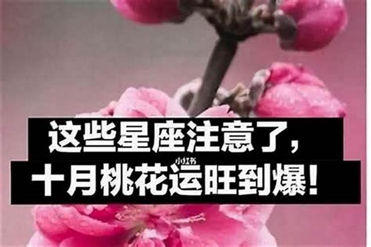 2024年6月运气最好的生肖你上榜了吗？