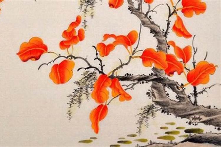 CLANNAD清明樱花祭中文版歌曲歌词