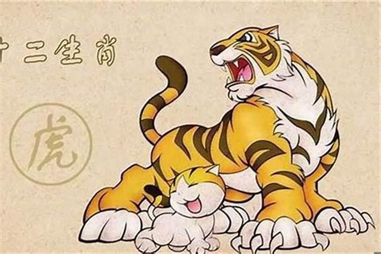 2000年农历冬至初九是什么星座,属什么