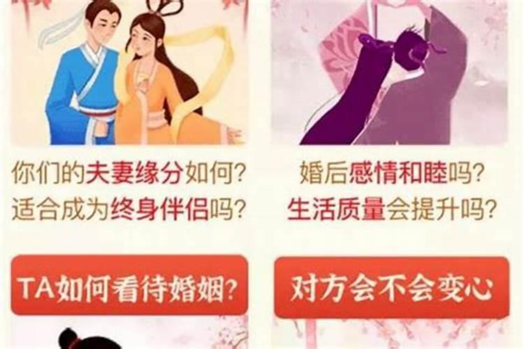 鼠的正缘桃花是谁2024年的 今年属鼠人感情运