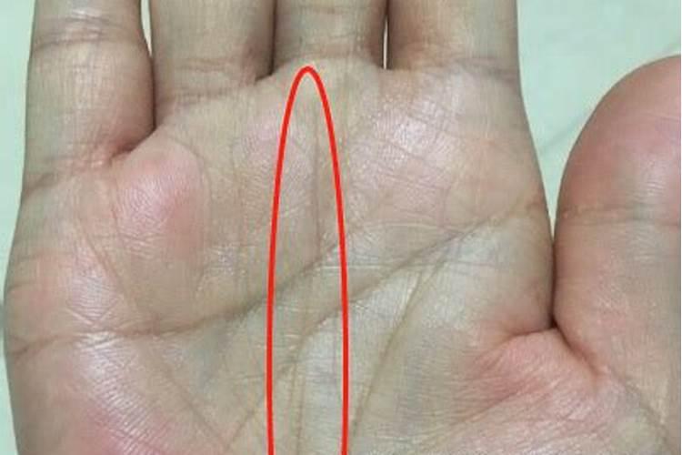 事业线上有一条横线预示什么