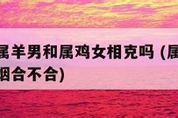 冬至吃饺子的来历