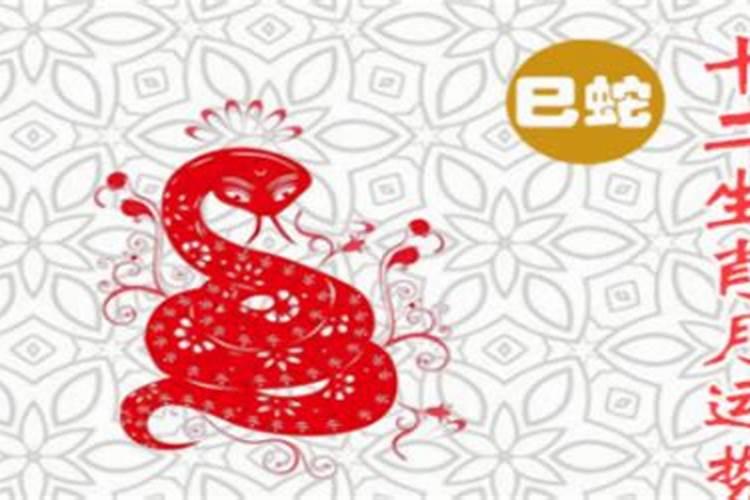属蛇的人出生月命运详细介绍