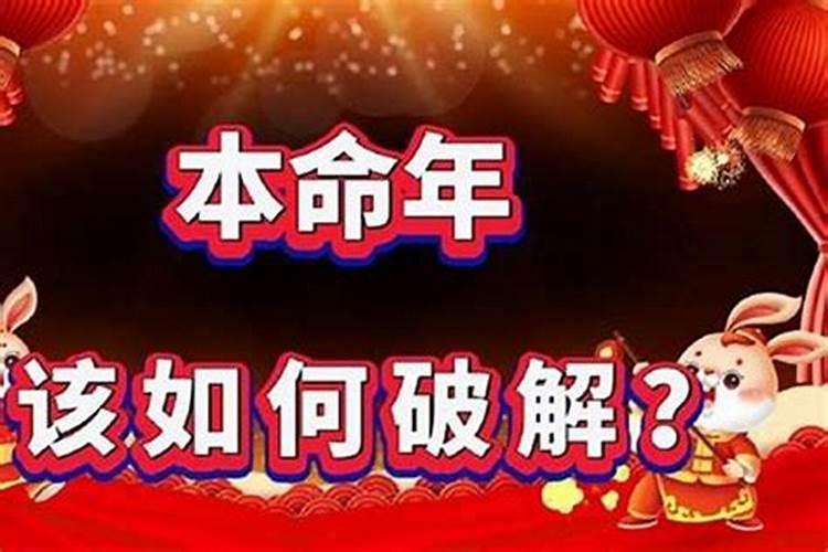 本命年家里养什么好 本命年家里养什么