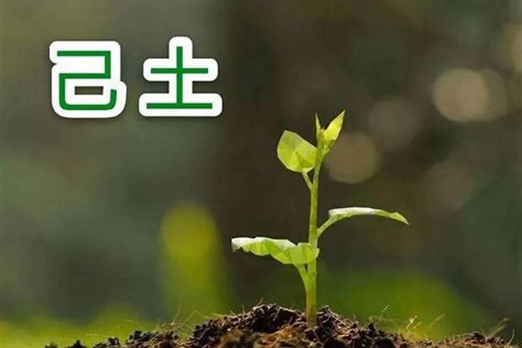那么多的顶香头、究竟有多少是真的呢 ？