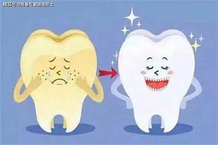 自己牙掉了什么预兆周公解梦