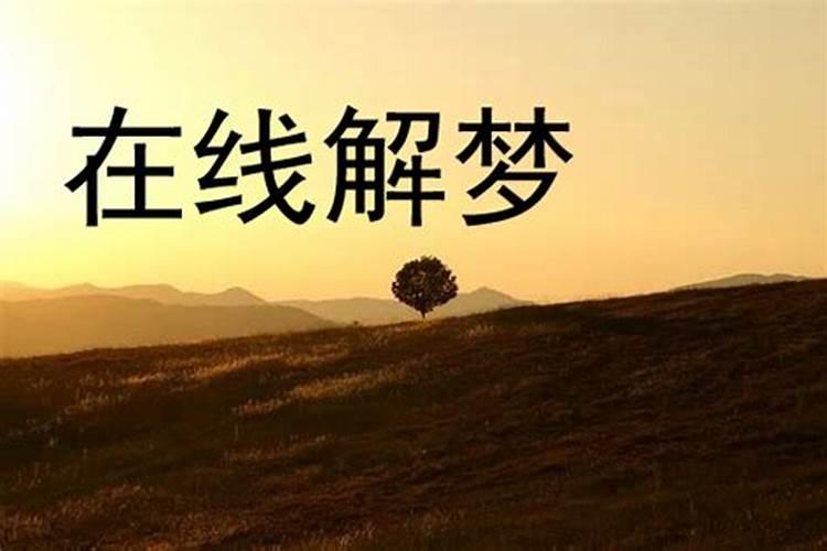 梦见老公和我在一起的预兆