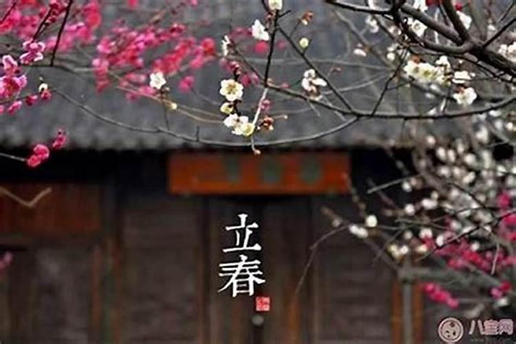 立春吃什么运气最好最旺