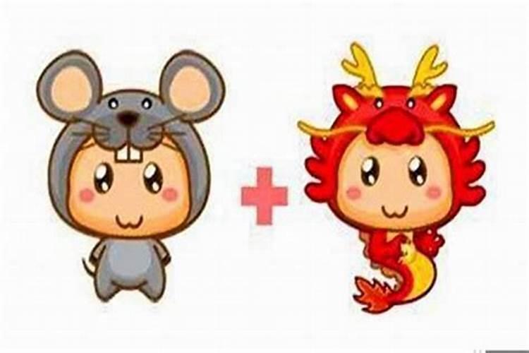 龙和鼠可以结婚吗？