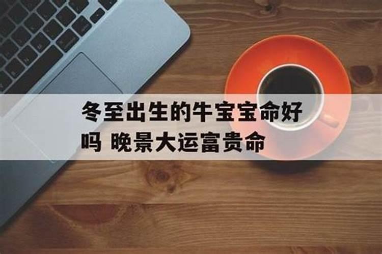 属牛的1985年农历十月二十三生人的命运