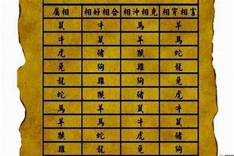 适合做夫妻的男女属相,什么属相的夫妻最般配