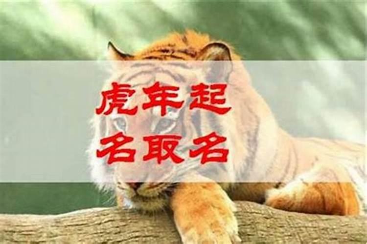 男孩名字属虎寓意好的 给生肖虎孩子取名注意事项
