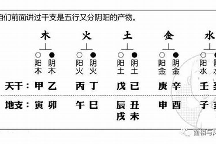 八字中没有正财配偶星怎么找,八字无财谁为妻