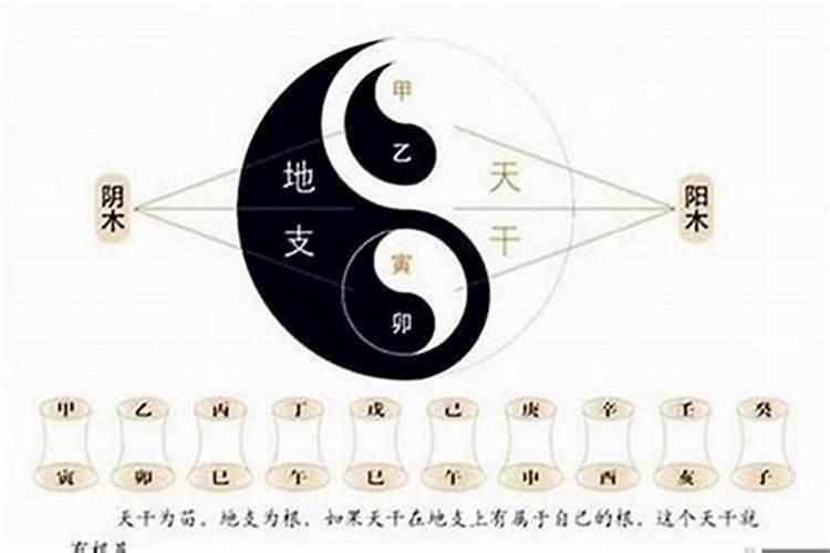 八字是什么 八字指的是什么啊？